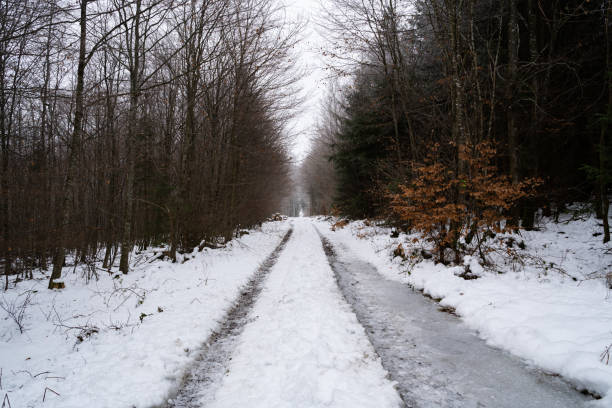 istock Snowy and icy path in the forest in winter 1435743540