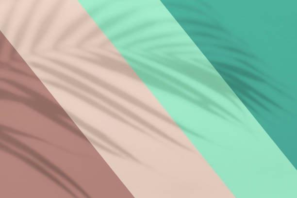 istock Tropical palm leaves shadow on pastel color background with copy space 1435759796