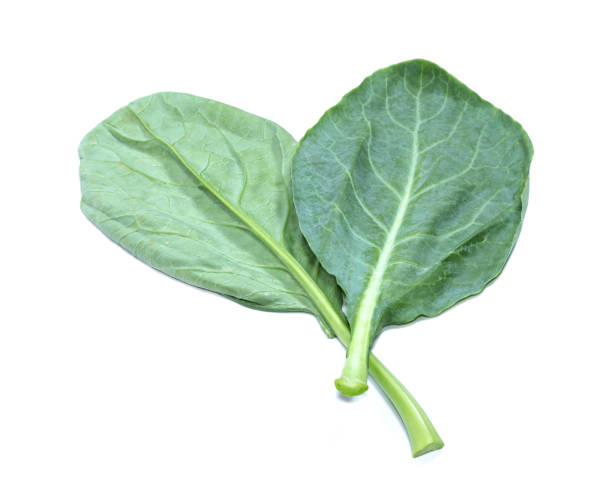 istock leaves of collards on background,Chinese kale 1435770881