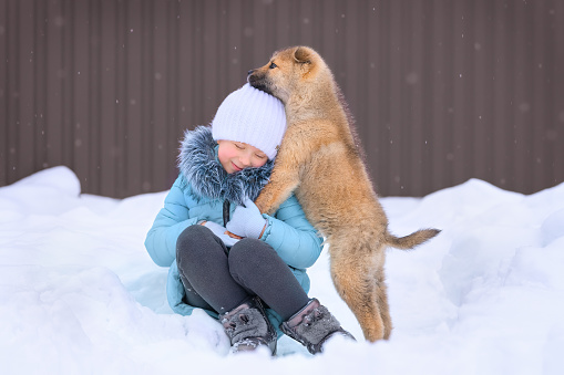 istock Cute little girl and akita inu puppy hug each other. 1435773049