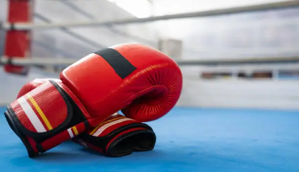 Photo of Boxing Gloves