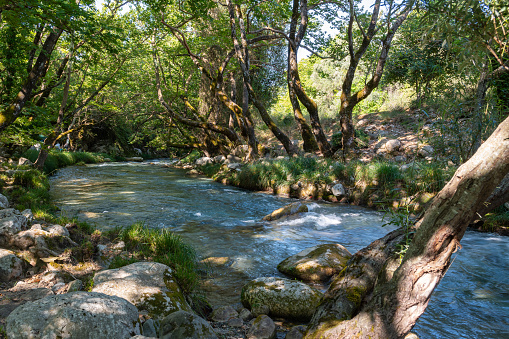 Idyllic landscape in the Alps with a small stream flowing to a river. Silbertal, Montafon, Vorarlberg