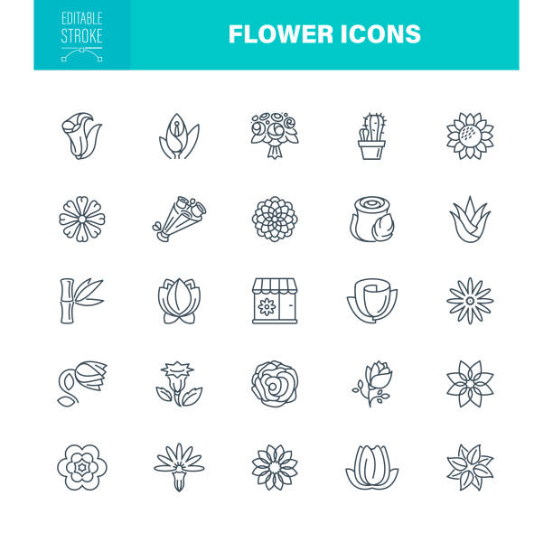illustrazioni stock, clip art, cartoni animati e icone di tendenza di tratto modificabile delle icone dei fiori - flower head bouquet built structure carnation
