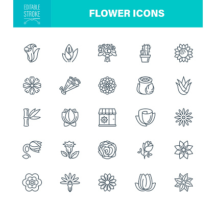 Flowers Icon Set. Editable Stroke. Contains such icons as Bouquets, Bunches Of Flowers, International Womens Day, Birthday, Natural, Roses, Flower Shop, Florist