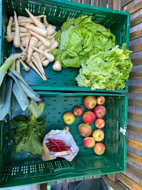 istock Fruits and vegetables in a green box 1435778763