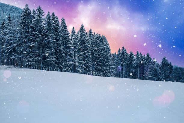 istock Winter Snow Landscape With Christmas Tree 1435779630