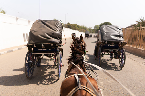 Horse and carriage running along a sphalted street in the city of Edfu