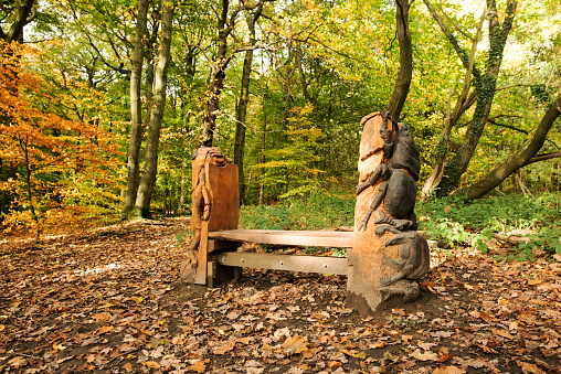 Beetle sculpture, in Wickersely Woods, Rotherham, South Yorkshire, England.  Taken on Saturday, 22nd October, 2022.