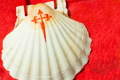 Stock photo showing close-up view of heart shape of seashells on a sunny, golden sandy beach with sea at low tide in the background. Romantic holiday and honeymoon concept.