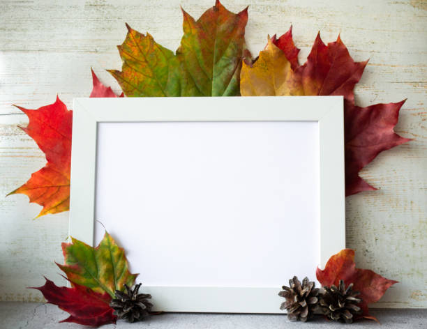 istock White frame with space for text or illustration. Multicolored maple leaves and aged wood background 1435833571
