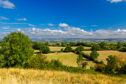 View of the Somerset Levels in Somerset, England