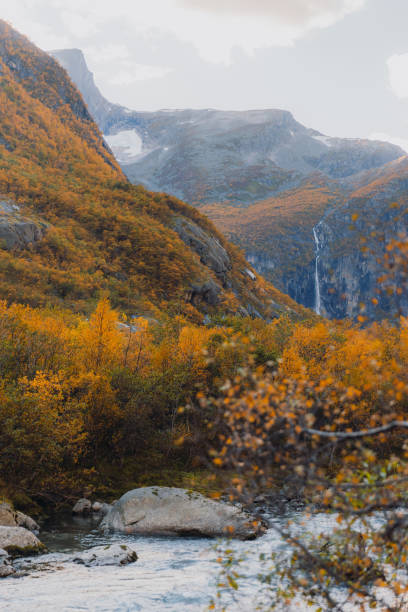 istock Admiring the autumn time in Norway 1435834370