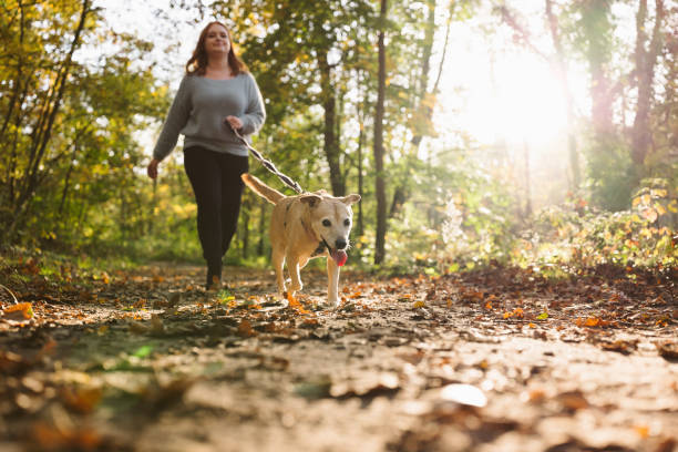dog walk: young redhead woman with mixed-breed dog