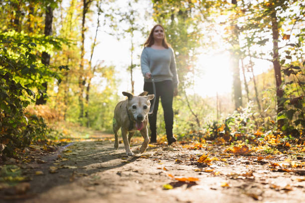 istock dog walk: young redhead woman with mixed-breed dog 1435837602