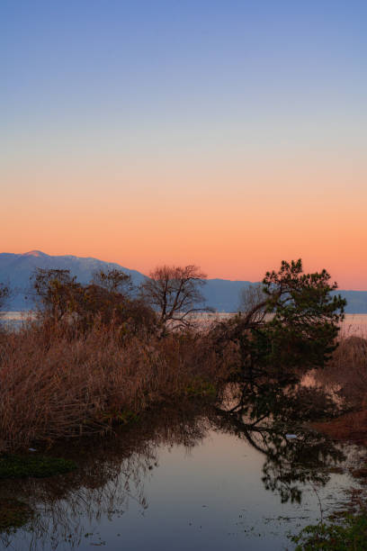 istock Lake at the dusk 1435837614
