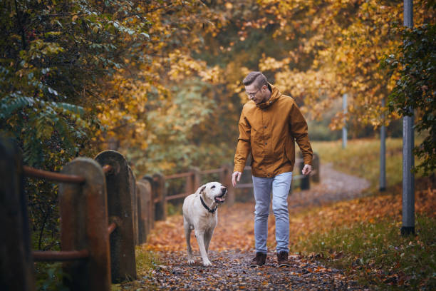 istock Man with dog during autumn day 1435845935