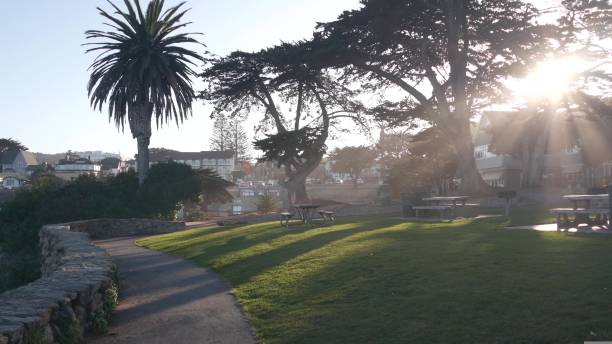 istock Lovers Point park in Pacific Grove, Monterey California coast. Cypress pine tree 1435853679