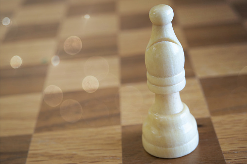 The white chess piece in board
