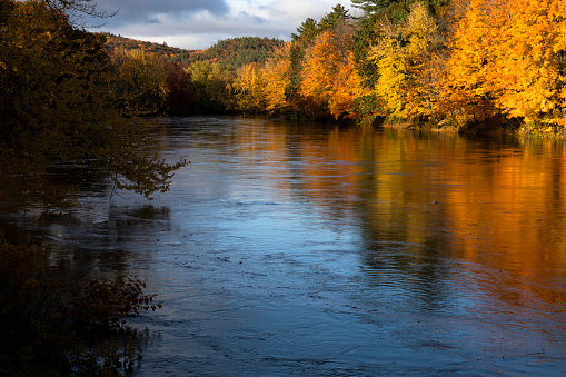 Pemigewasset river in the fall, Plymouth, New Hampshire, USA