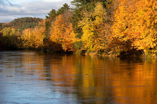 Pemigewasset river in the fall, Plymouth, New Hampshire, USA