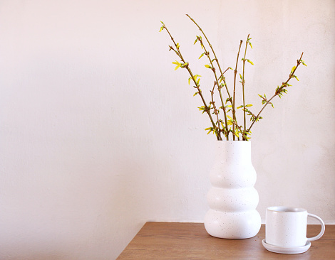 Modern white ceramic vase with yellow blooming Forsythia flowers on a vintage bench table scandinavian interior.