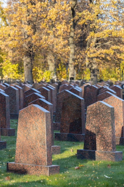 istock empty stone tombstone in a military cemetery. 1435863512