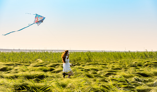 girl flying kite on green grassland