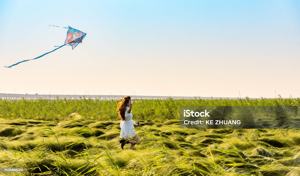 girl flying kite on green grassland Kite - Toy Stock Photo