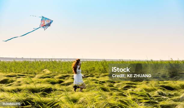 Girl Flying Kite On Green Grassland Stock Photo - Download Image Now - Kite - Toy, Wind, Adults Only
