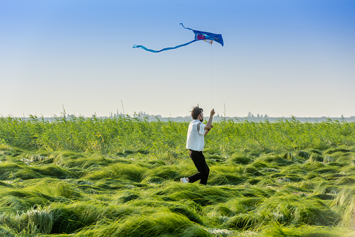 man flying kite on green grassland