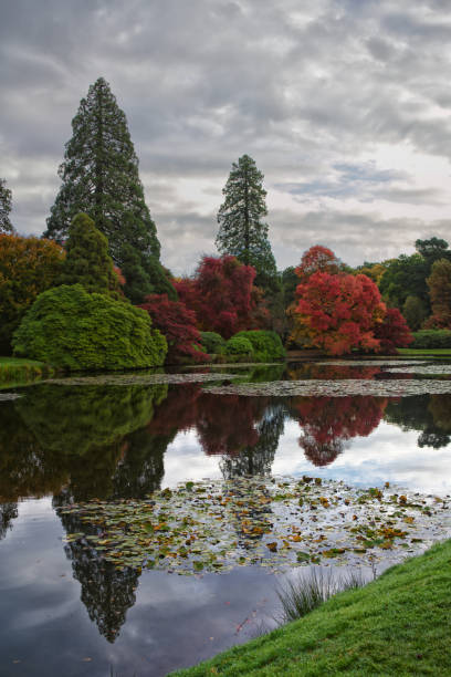 istock Sheffield Park on an autumn day today 1435865611