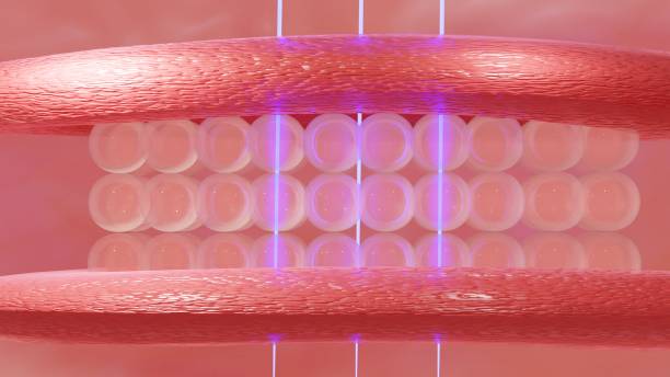 istock Serum and vitamin drop on skin cell 1435866168