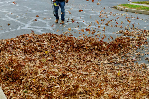 istock An autumn municipality worker cleans a sidewalk by putting leaves on a pile and blowing them away 1435867290