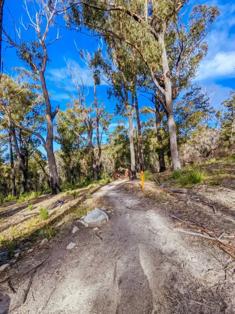 Photo of St Helens Bike Network Tasmania Australia