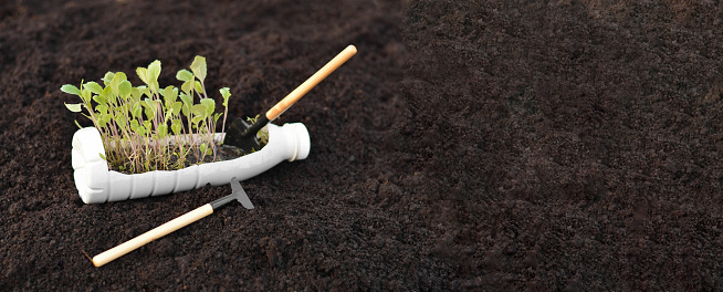 Growing young, green seedlings in DIY plastic pots made from cut plastic bottles. Recycle and reusable green garden concept.