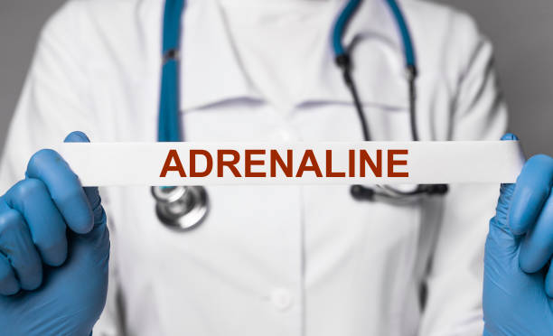 istock Adrenaline hormone, word on paper 1435879776