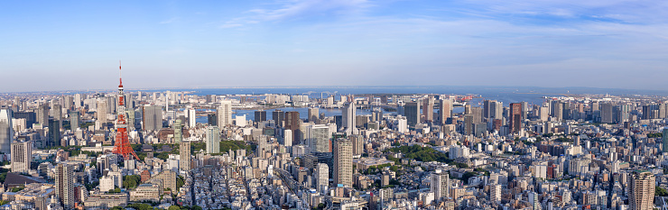 Panorama Tokyo city skyline with Tokyo Tower at dusk in Japan, Colorful color - Image