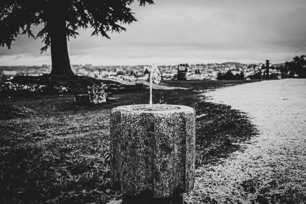 Black & white shortned view of a fountain in the park