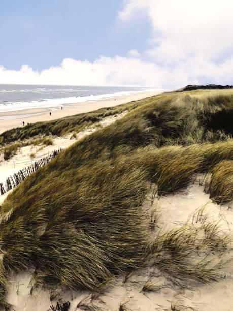 belle journée autuum sur la plage de sylt - autuum photos et images de collection