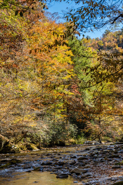 istock Fall Colors in clear skies 1435889120