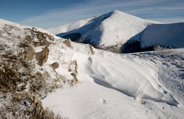 istock Winter in Carpathian Mountains 1435889944