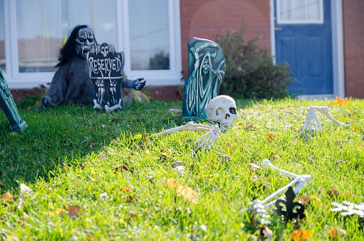 Halloween skull, skeleton and tombstone decoration on front yard during day of autumn