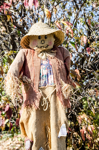Halloween scarecrow decoration during day of autumn