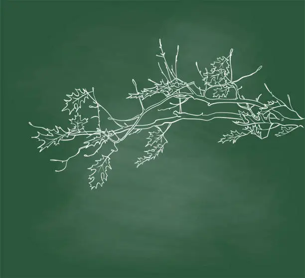 Vector illustration of Fall Leaves And Branches Chalkboard