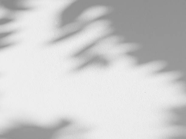 istock Seamless texture of white cement wall a rough surface, with space for text, for a background,concrete,retro vintage concept.. 1435893067