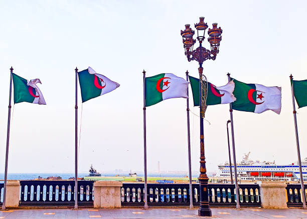 istock A tour in the streets of Algiers 1435893097