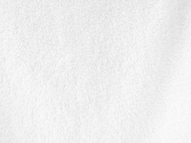 istock White clean wool texture background. light natural sheep wool. white seamless cotton. texture of fluffy fur for designers. close-up fragment white wool carpet. 1435893179
