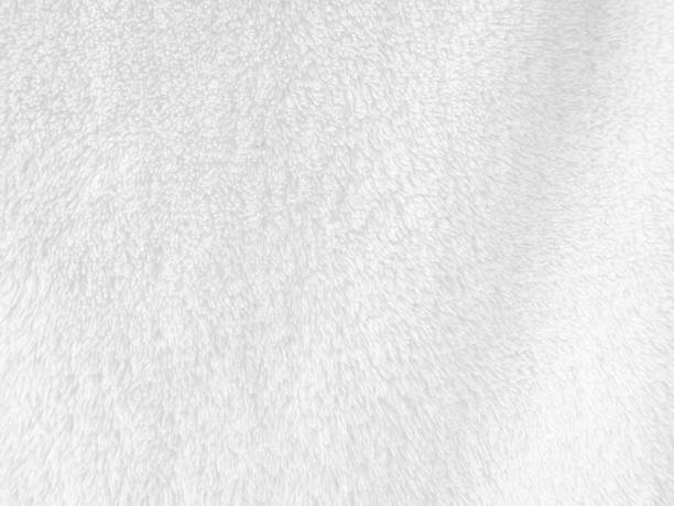 istock White clean wool texture background. light natural sheep wool. white seamless cotton. texture of fluffy fur for designers. close-up fragment white wool carpet. 1435893191