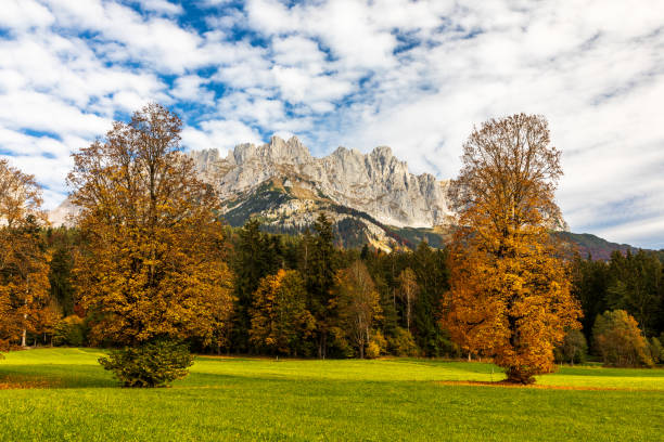 istock Colorful trees in front of Wilder Kaiser mountains 1435897064