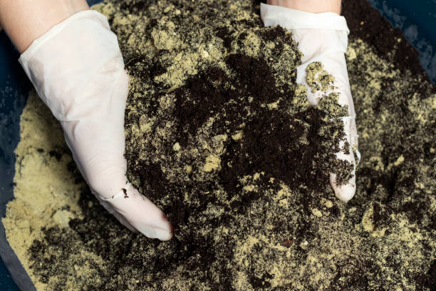 istock A mixture of sand and soil. 1435897155